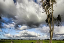 澳网赛场上的中国面孔（体育大看台）人民日报.