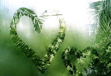 [CBA]冠军近在咫尺 辽宁队平常心对待.